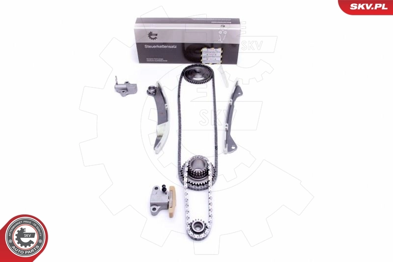 Timing Chain Kit